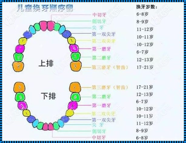 儿童六龄齿会换吗？